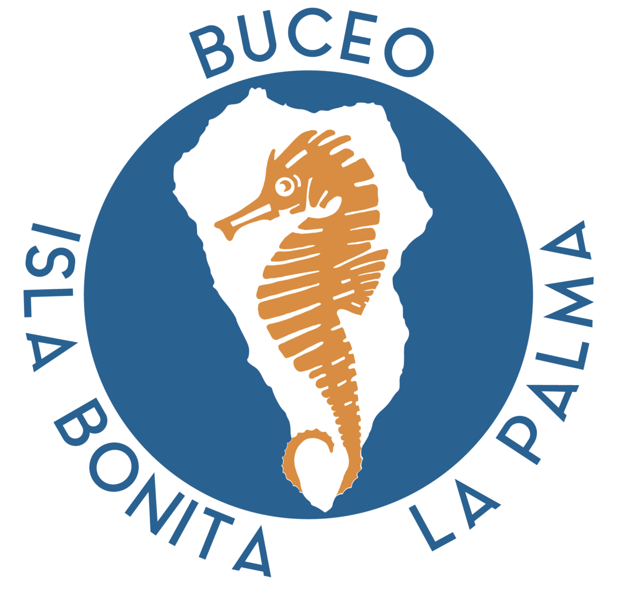 Buceo isla bonita la palma